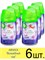 Сменный баллон Air Wick Freshmatic Волшебный сад 250 мл 1/6 KP-2779