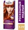 Краска для волос Palette Роскошный медный 7-77 (KR7) 1/10 KP-2439