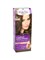 Краска для волос Palette Золотистый трюфель 4-5 (G3) 1/10 KP-2441